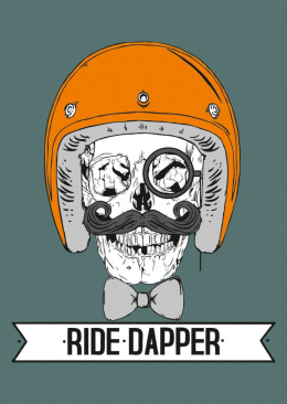 Plakat 79 Point Ride Dapper - A3