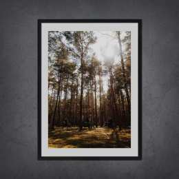 Forest Adventure - A3 Picture Poster (fot. Michał Szubert)